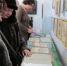 В художественной галерее "УГЛЪ" открылась выставка "Правда жизни. Незабытые имена ХХ века" - Туристский информационный центр г. Углич