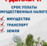 Имущественные налоги необходимо заплатить до 1 декабря - Администрация г. Углич