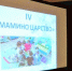 Познавательно-развлекательная программа для школьников «День мамы» - Угличский музей