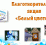 Открытие декады "Благостина". Старт акции "Белый цветок". - Администрация Угличского района