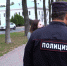 Нарушителей запрета на плевки в общественных местах начнут штрафовать с 7 сентября - Uglich-Online.Ru