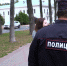 ​В регионе выписывают штрафы за нарушение запрета на плевание в общественных местах - Uglich-Online.Ru