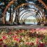 Федеральный проект «Формирование комфортной городской среды» продлен до 2030 года - Uglich-Online.Ru