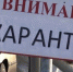 В Головинском поселении установлен карантин по бешенству животных - Uglich-Online.Ru