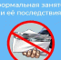 Неформальная занятость и ее последствия - Администрация Угличского района