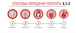 Неделя профилактики заболеваний печени 28.07.2025 – 03.07.2025