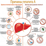 Неделя профилактики заболеваний печени 28.07.2025 – 03.07.2025