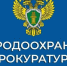 Приём Ярославского межрайонного природоохранного прокурора - Администрация Угличского района