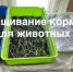 Нажмите для предварительного просмотра изображения - Uglich-Online.Ru