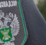 О ситуации с высокопатогенным гриппом птиц - Администрация Угличского района