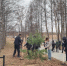 Спортсмены помогают приводить город в порядок - Администрация Угличского района